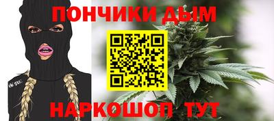 индика Ставрополь