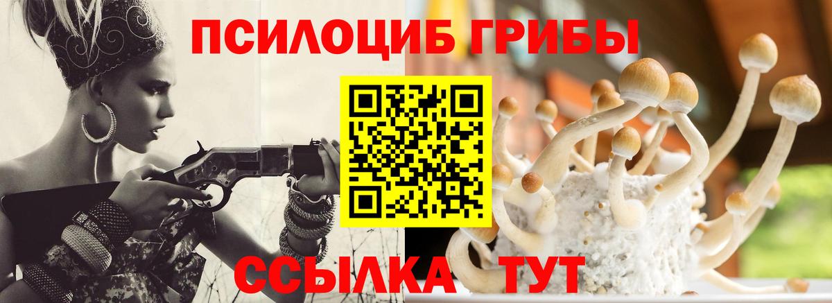 Галлюциногенные грибы Cubensis  Вход с VPN  Набережные Челны  Псилоцибиновые грибы Psilocybine cubensis 
